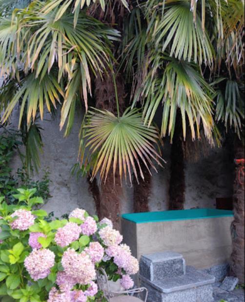 Appartement Casa Belgeri Dongio Esterno foto